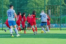 详解棒球规则中的观众干预比赛判定